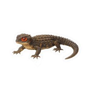 Puede incluir: Una pegatina con una ilustración detallada de un escinco cocodrilo de ojos rojos. El reptil tiene un cuerpo marrón texturizado con una cola larga y patas pequeñas. El escinco se representa sobre un fondo blanco.
