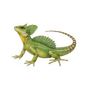 Grön basilisködla klistermärke, exotisk reptilillustration vinyldekal, Kiss-Cut laptopklistermärke, tropisk djurlivskonstgåva