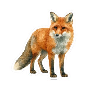 Fox Sticker, Aesthetic Animal Decals for Laptops, Water Bottles, Journals, Cute Nature Lover Gifts, Fun Gift for Wildlife and Nature Lovers
