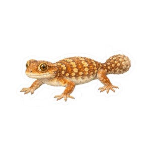 Knob-Tailed Gecko Sticker, Kiss-Cut Vinyl Gecko Decal, Lizard Nature Gift