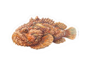Könnte beinhalten: Eine detaillierte Illustration eines Steinfisches mit einem strukturierten, höckrigen Körper in Braun-, Orange- und Beigetönen. Der Fisch hat ein großes, nach unten gerichtetes Maul, ein markantes Auge und fächerförmige Flossen mit sichtbaren Strahlen.