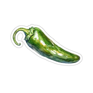 Jalapeno Sticker, Green Jalapeño Pepper Sticker, Chili Sticker, Laptop Vinyl Sticker, Water bottle Sticker, Car Window Sticker, Watercolor