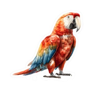 Parrot Sticker, Macaw Decal for Laptops & Water Bottles, Tropical Nature Vibe, Eco-Friendly Gift, Fun Journal and Scrapbook Accessory