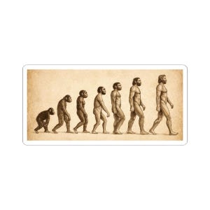 Può includere: Un adesivo con un'illustrazione in tonalità seppia dell'evoluzione umana. L'immagine raffigura una progressione di ominidi, a partire da un primate e culminando in un uomo moderno, che cammina eretto. Lo sfondo ha una consistenza simile alla pergamena.
