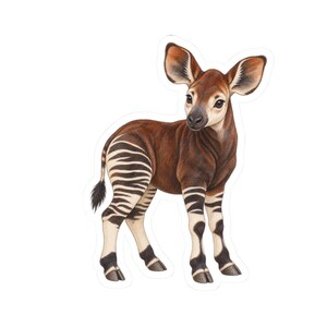 Könnte beinhalten: Eine detaillierte Illustration eines Okapis im Profil, mit einem satten rotbraunen Fell am Körper, großen Ohren und markanten horizontalen schwarzen und weißen Streifen an den oberen Beinen und am Hinterteil, die in dunklen Hufen enden.