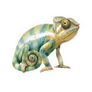 May include: Watercolor illustration of a chameleon with a curled tail. The reptile features a mix of green, blue, and yellow hues. The chameleon is depicted in a side profile, showcasing its detailed eye and textured skin.