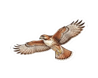 Red-Tailed Hawk Sticker, Flying Raptor Decal, Illustration Kiss-Cut Stickers