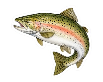 Pegatina de trucha arcoíris, calcomanía de vinilo troquelada para pesca, pegatinas de peces