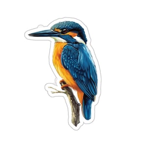 Kingfisher Bird Sticker, Kingfisher Sticker, Nature Animals Tropical Laptop Decal, Vinyl Waterbottle Sticker, Tumbler Decal, Car Sticker