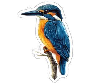Sticker martin-pêcheur, sticker martin-pêcheur, sticker tropical pour ordinateur portable animaux nature, sticker bouteille d'eau en vinyle, sticker gobelet, sticker voiture