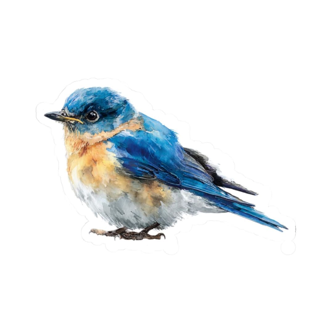 Eastern Bluebird Sticker, Watercolor Bird Decal for Laptops, Water ...