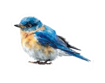 May include: Watercolor illustration of a bluebird. The bird features vibrant blue feathers on its back and head, with a warm orange chest and belly. The artwork has a soft, painterly style, with subtle shading and detail.