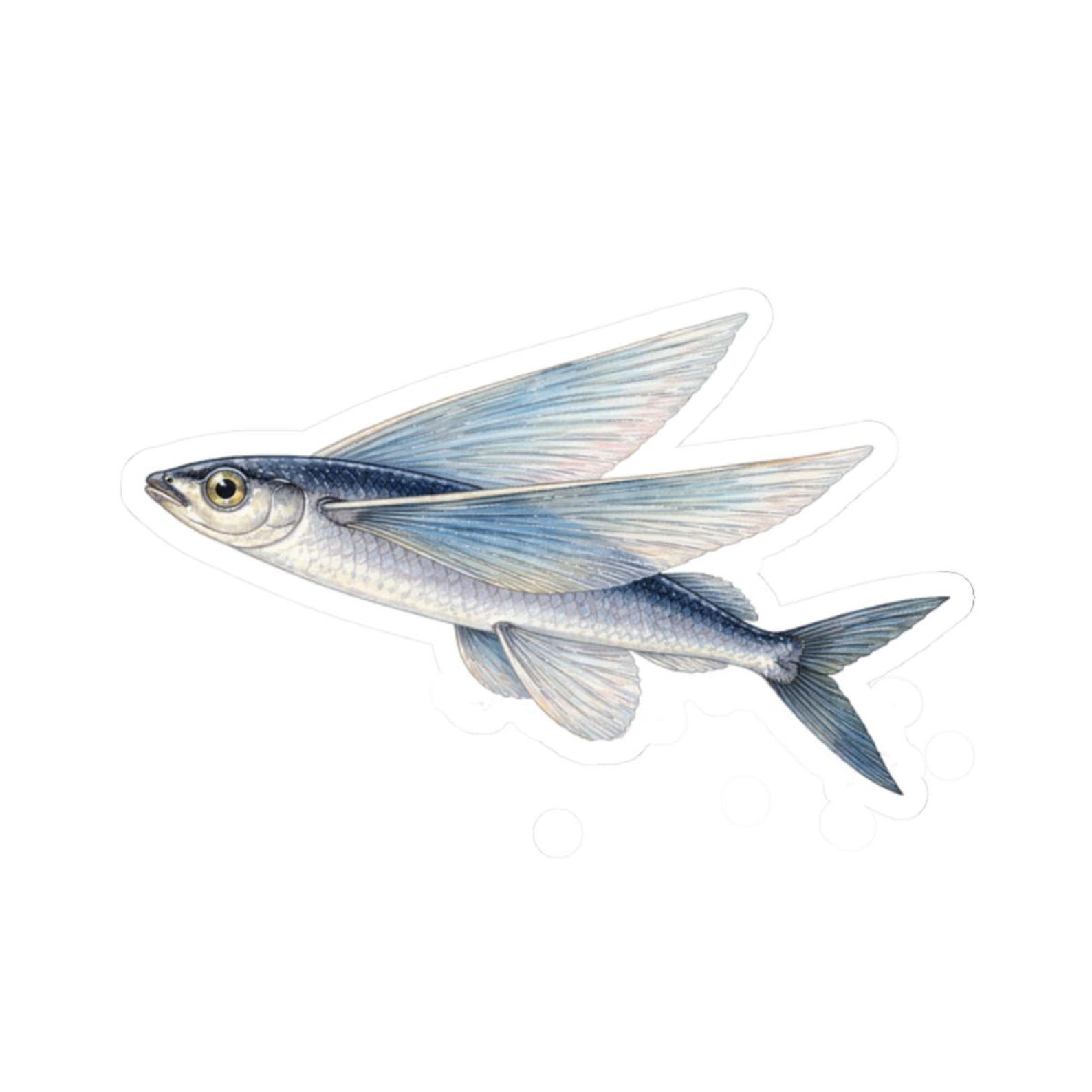 Flying Fish Sticker Flying Fish Sticker, Ocean Fish Laptop Decal, Underwater Theme Gifts ...