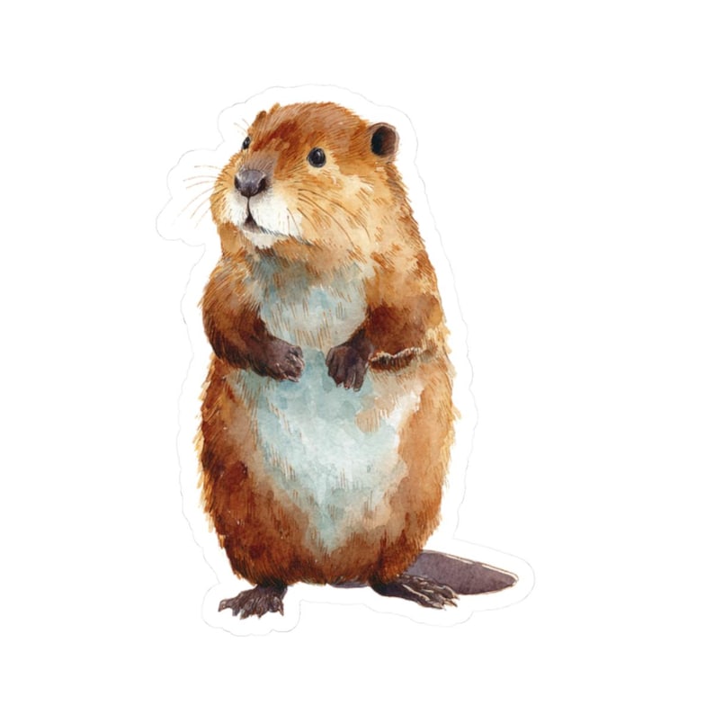 Beaver Sticker, Nature Lover Decal, Cute Animal Decor, Laptop Stickers ...