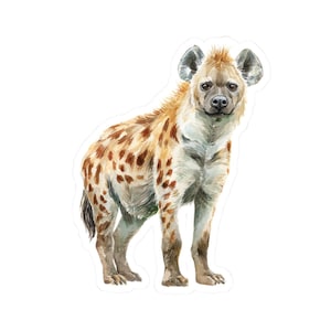 May include: A watercolor sticker of a hyena. The hyena is depicted standing, with a light brown and white coat, and dark brown spots. The hyena has a light brown face, dark eyes, and large ears. The sticker is cut around the hyena's outline.