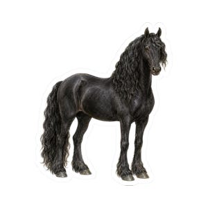 May include: A detailed illustration of a black Friesian horse standing in profile. The horse features a long, wavy black mane and a thick, flowing tail. Its legs have heavy feathering around the hooves, and its coat is a solid, deep black colour.