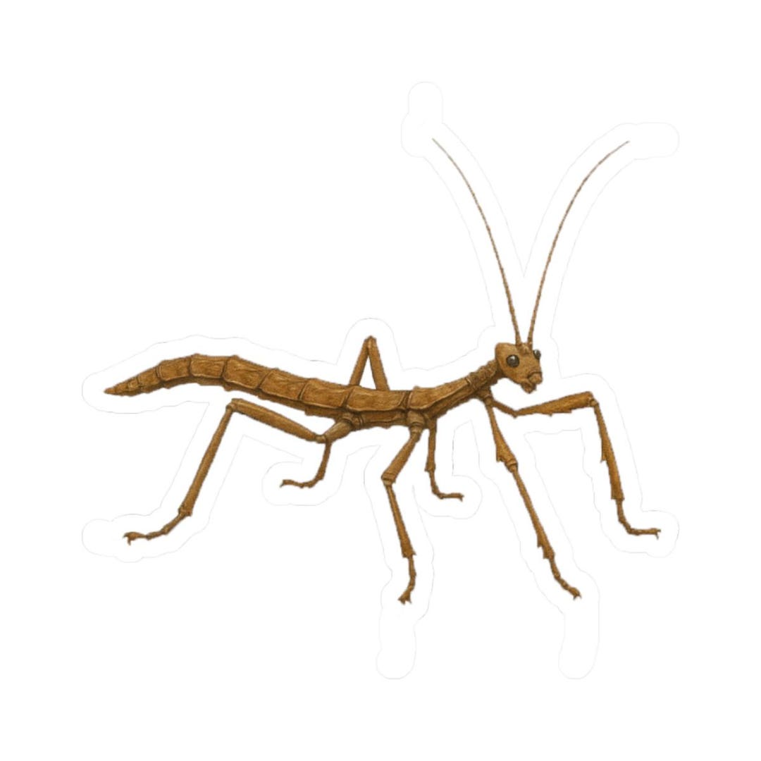 Stick Bug Sticker, Decal for Nature Lovers, Laptop Decals, Water Bottle ...