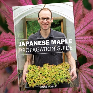 Japanese Maple Tree Propagation Guide Book | Digital Book Download