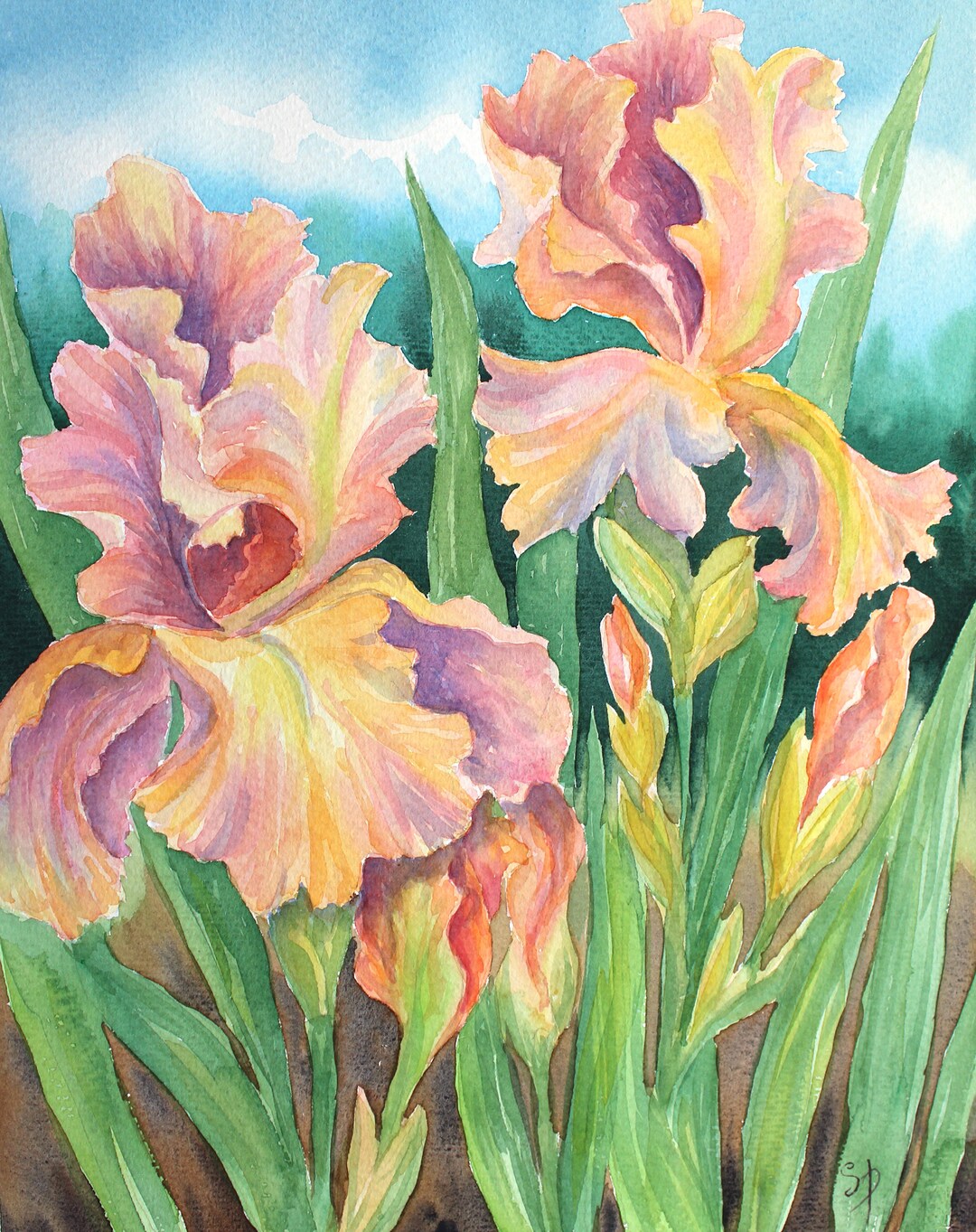 Iris Watercolor Painting Framed Original Wall Art for Bedroom, Blush ...
