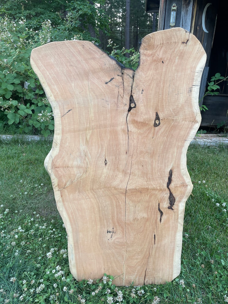 Alligator Juniper Slab Etsy