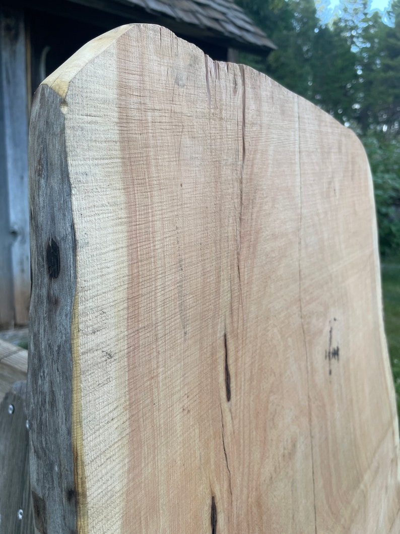 Alligator Juniper Slab Etsy