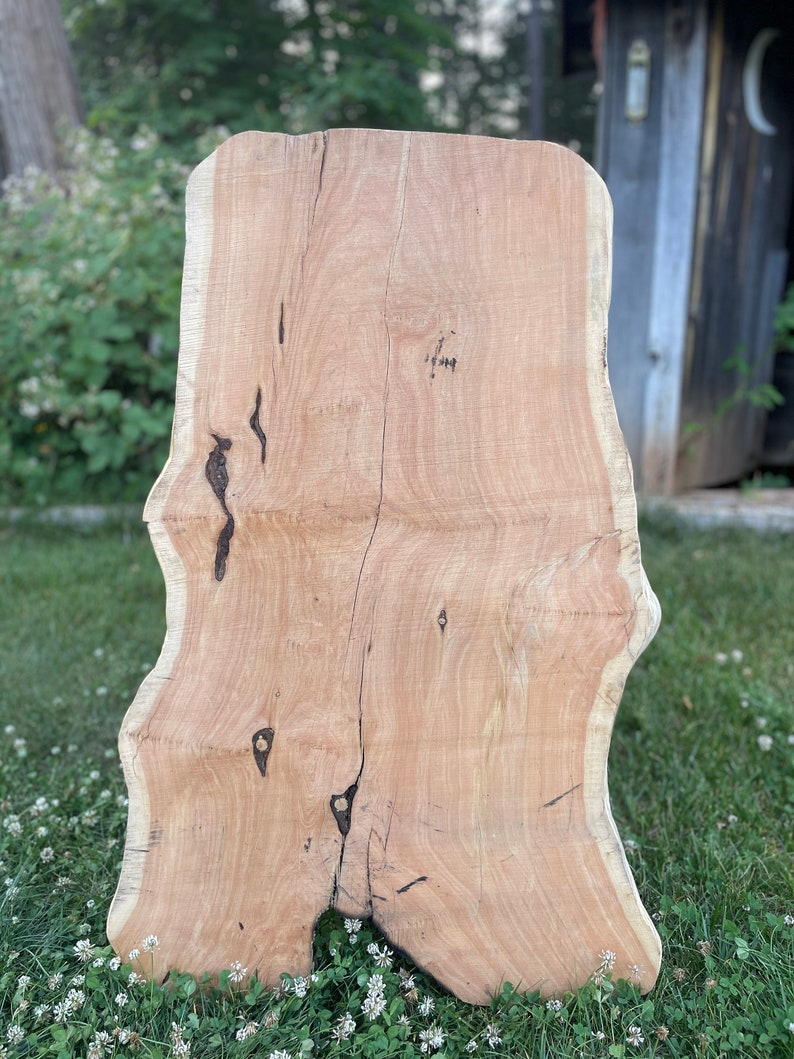 Alligator Juniper Slab Etsy