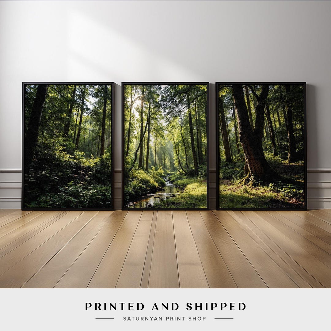 Forest Wall Art Set of 3 | Sunlight Trees Creek Canvas Prints, Green ...
