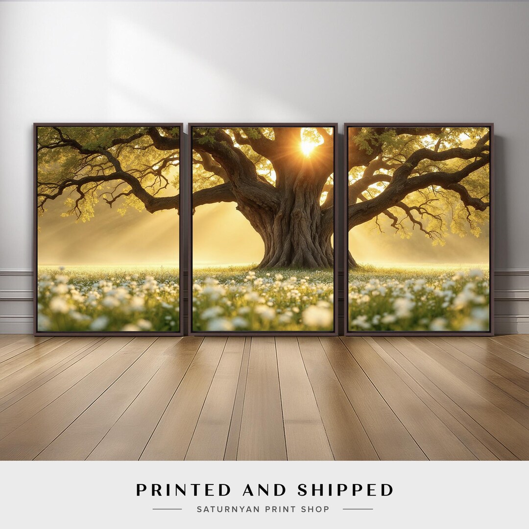 Sunlight Tree Wall Art Set of 3 | Golden Meadow Landscape Canvas Prints ...