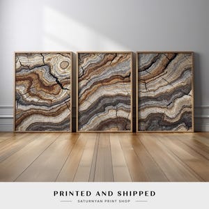 May include: Three framed art prints featuring detailed cross-sections of wood, showcasing concentric rings in shades of brown, gray, and cream. The artwork is displayed on a wooden floor against a white wall. The text "PRINTED AND SHIPPED" is visible at the bottom.