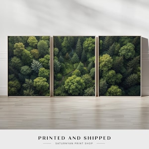Green Forest Wall Art Set of 3 | Aerial View Nature Triptych Canvas Prints | Lush Woodland Landscape for Earthy Modern Living Room Decor