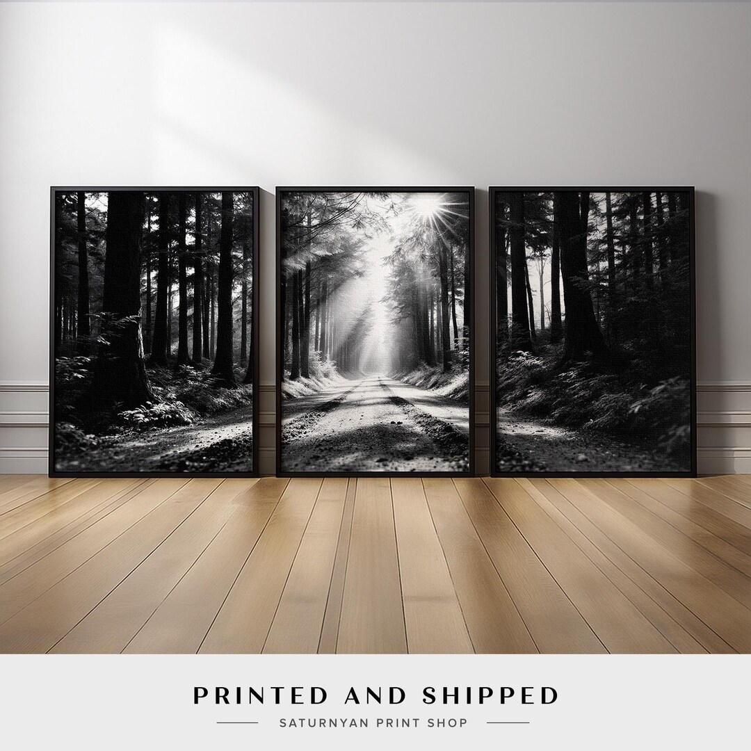 Black and White Forest Path Landscape Wall Art Set of 3 | Moody ...