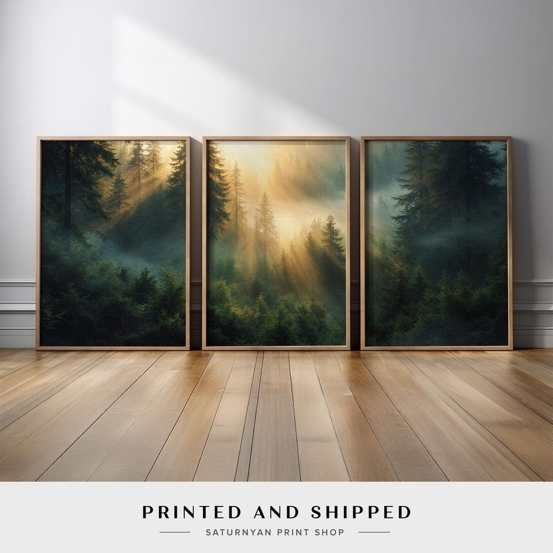 Misty Pine Forest Sun Rays Wall Art Set of 3 | Moody Woodland ...
