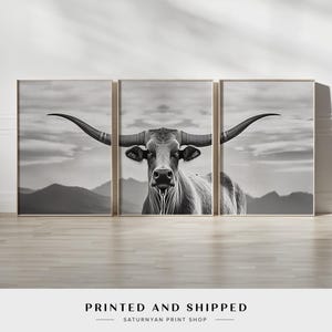 Majestic Bull with Powerful Horns Wall Art Set of 3 | Wildlife Stunning Horns in Monochrome Canvas Print | Bull Head with Curved Horns Decor