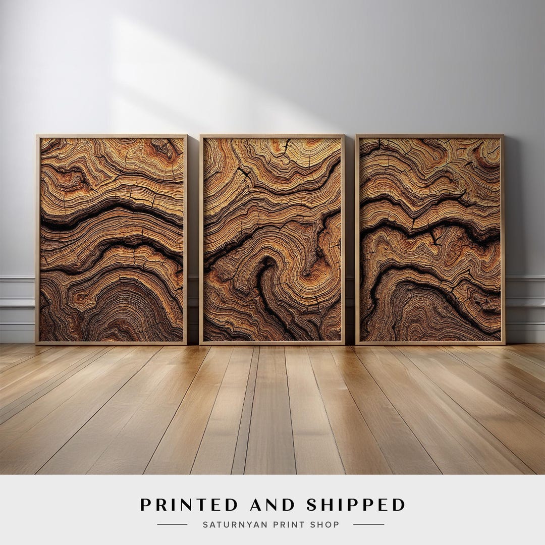 Curated visual reference: Gallery Detail: Earthy Wood Grain Wall Art Set Of 3