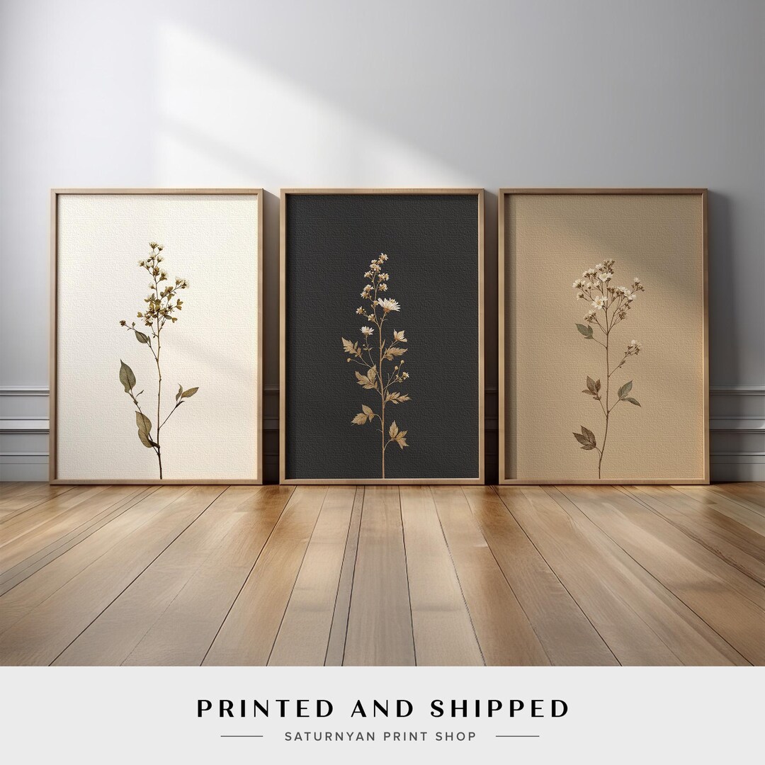 Minimalist Botanical Wall Art Set of 3 | Neutral Floral in Cream ...
