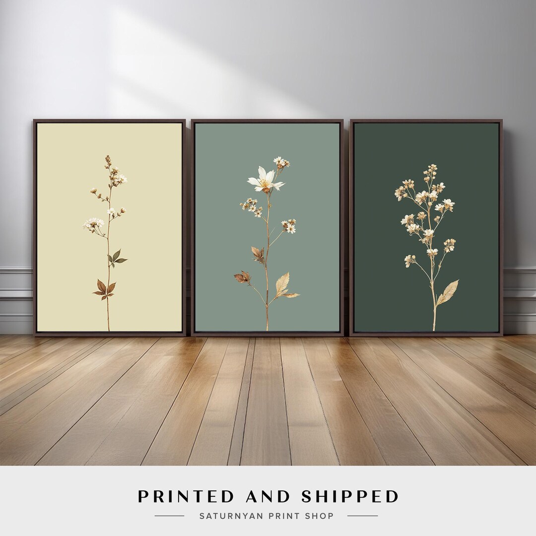 Minimalist Botanical Wall Art Set of 3 | Sage Green Floral Stems in ...