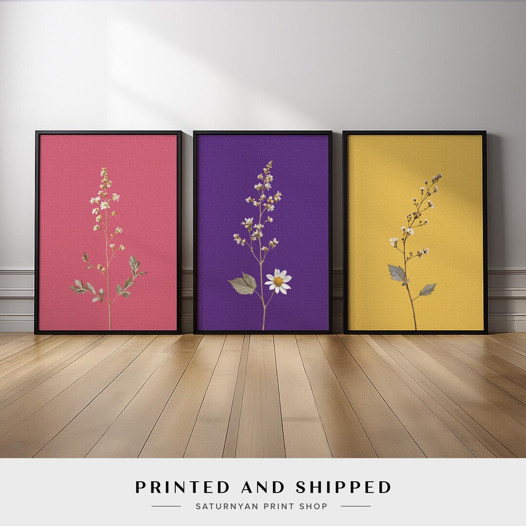 Minimalist Floral Wall Art Set of 3 | Colorful Botanical Prints, Pink ...