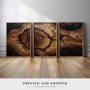 Tree Rings Wall Art, Wood Texture Triptych, Rustic Abstract Nature Print, Organic Wood Grain Decor, Minimalist Earthy Artwork