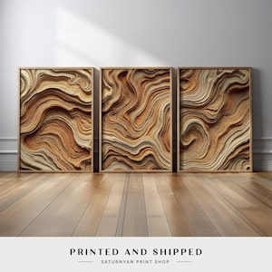 Wood Grain Inspired Abstract Canvas Set | 3 Piece Earthy Wall Art with Natural Swirl Prints in Tan, Brown and Cream for Modern Interiors