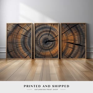 Tree Ring Wall Art Set of 3 | Rustic Wood Triptych with Natural Grain Patterns | Modern Nature-Inspired Canvas Prints for Living Room