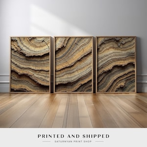 Tree Bark Abstract Wall Art | Set of 3 Close-Up Wood Grain Rings in Natural Earth Tones | Large Rustic Canvas Prints for Living Room