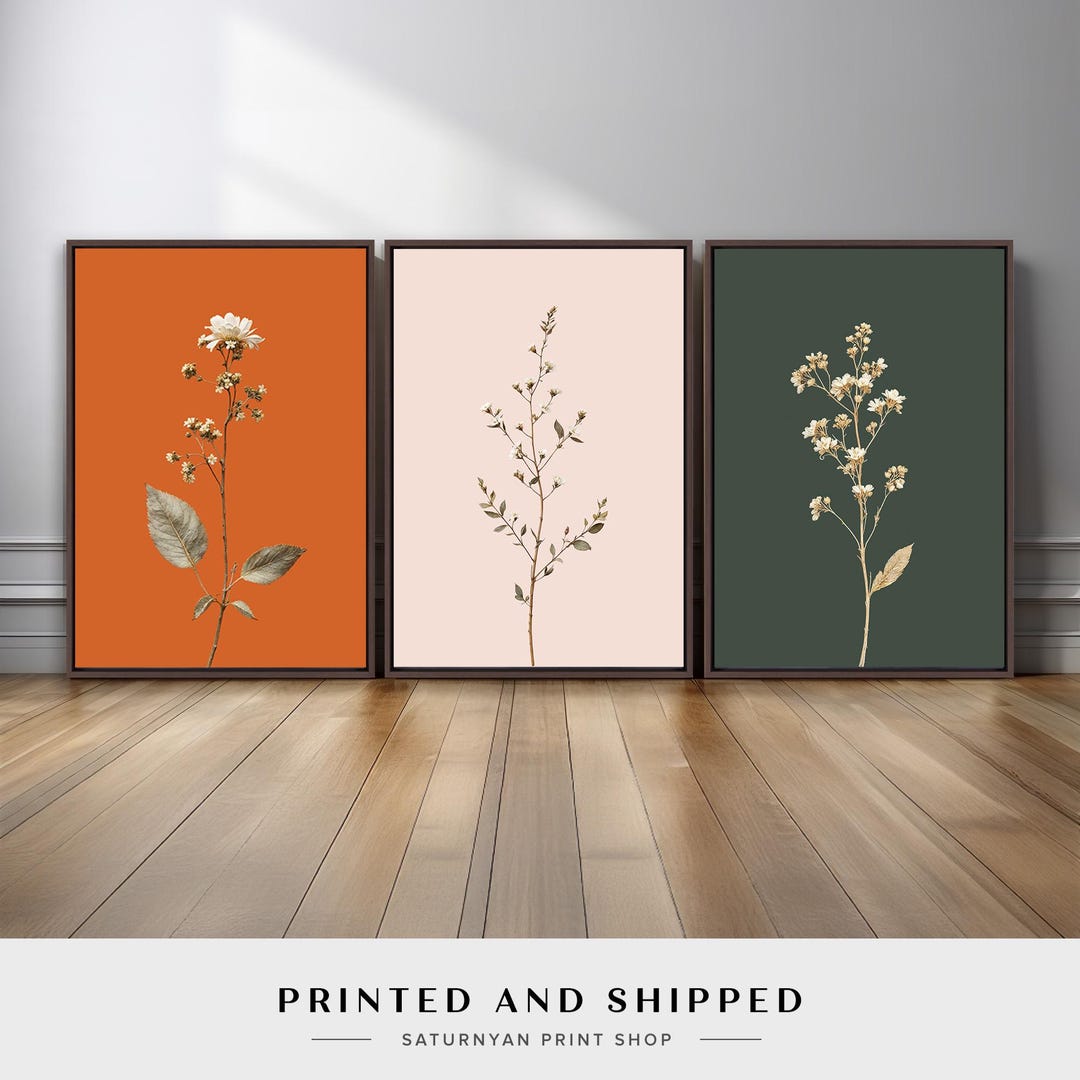Modern Botanical Floral Wall Art Set of 3 | Minimalist Colorful Flower ...
