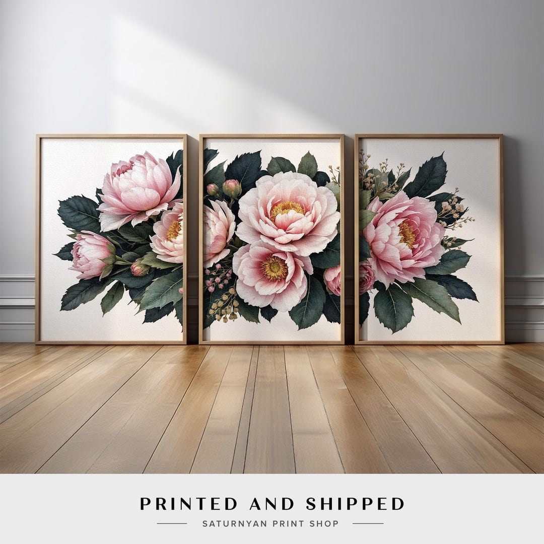 Peony Botanical Wall Art Set of 3 | Blush Pink Floral Triptych | Modern ...