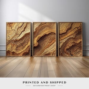 Abstract Wood Grain Canvas Prints Wall Art | 3-Piece Earth Tone Wall Decor with Detailed Patterns for Rustic and Modern Home Interiors