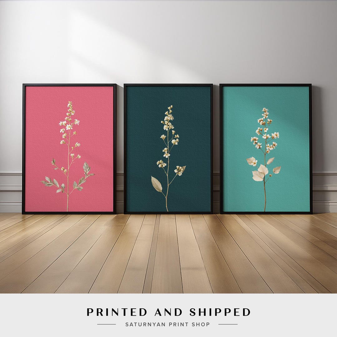 Minimalist Botanical Wall Art Set of 3 | Colorful Floral Triptych in ...