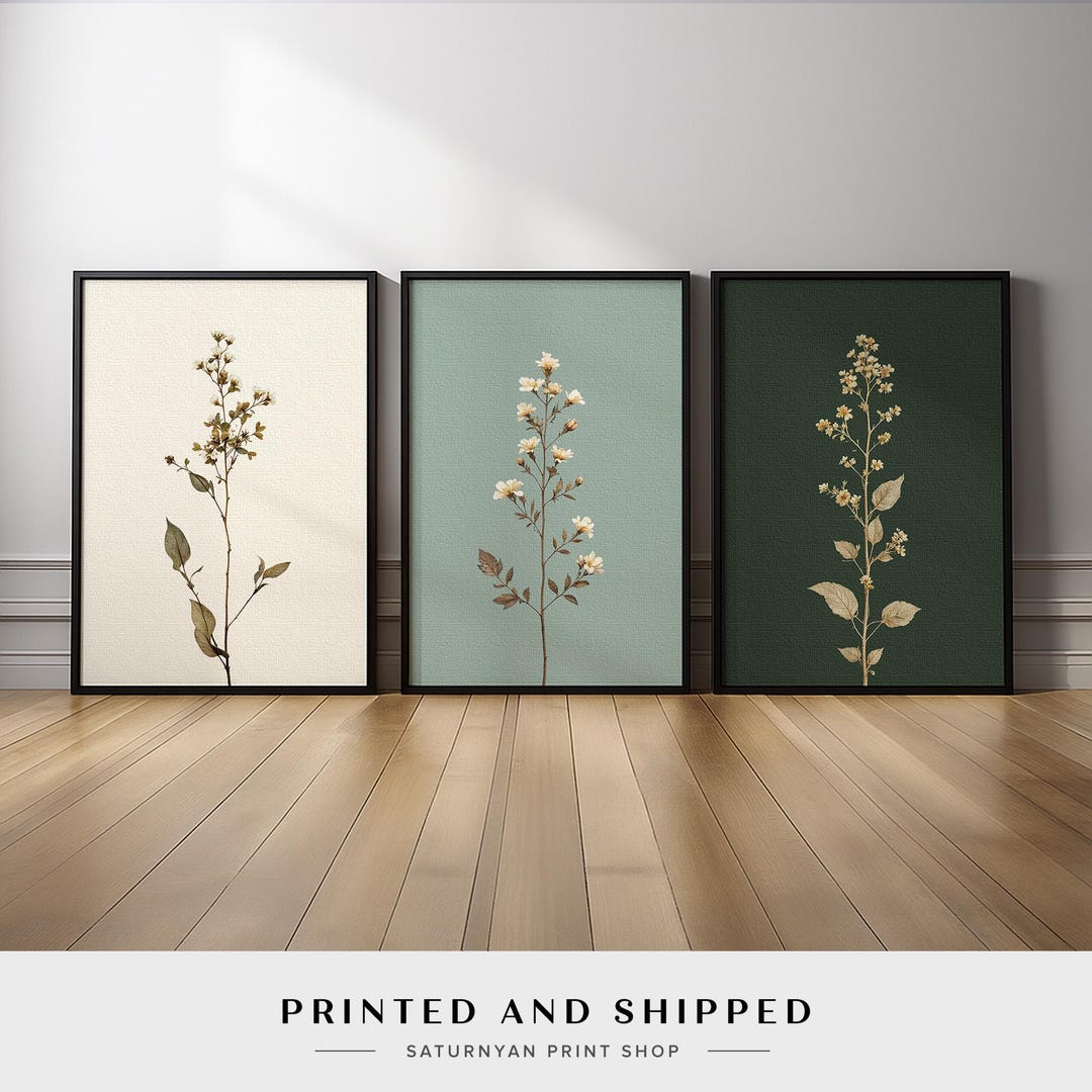 Botanical Wall Art Set of 3 | Minimalist Wildflower Canvas Prints in ...