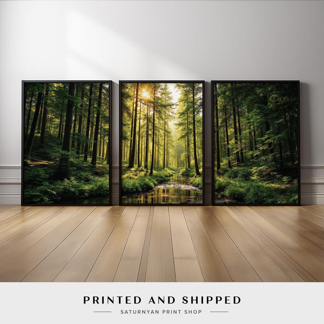 Nature Sunlight Forest Wall Art Set of 3 | Green Trees River Canvas ...