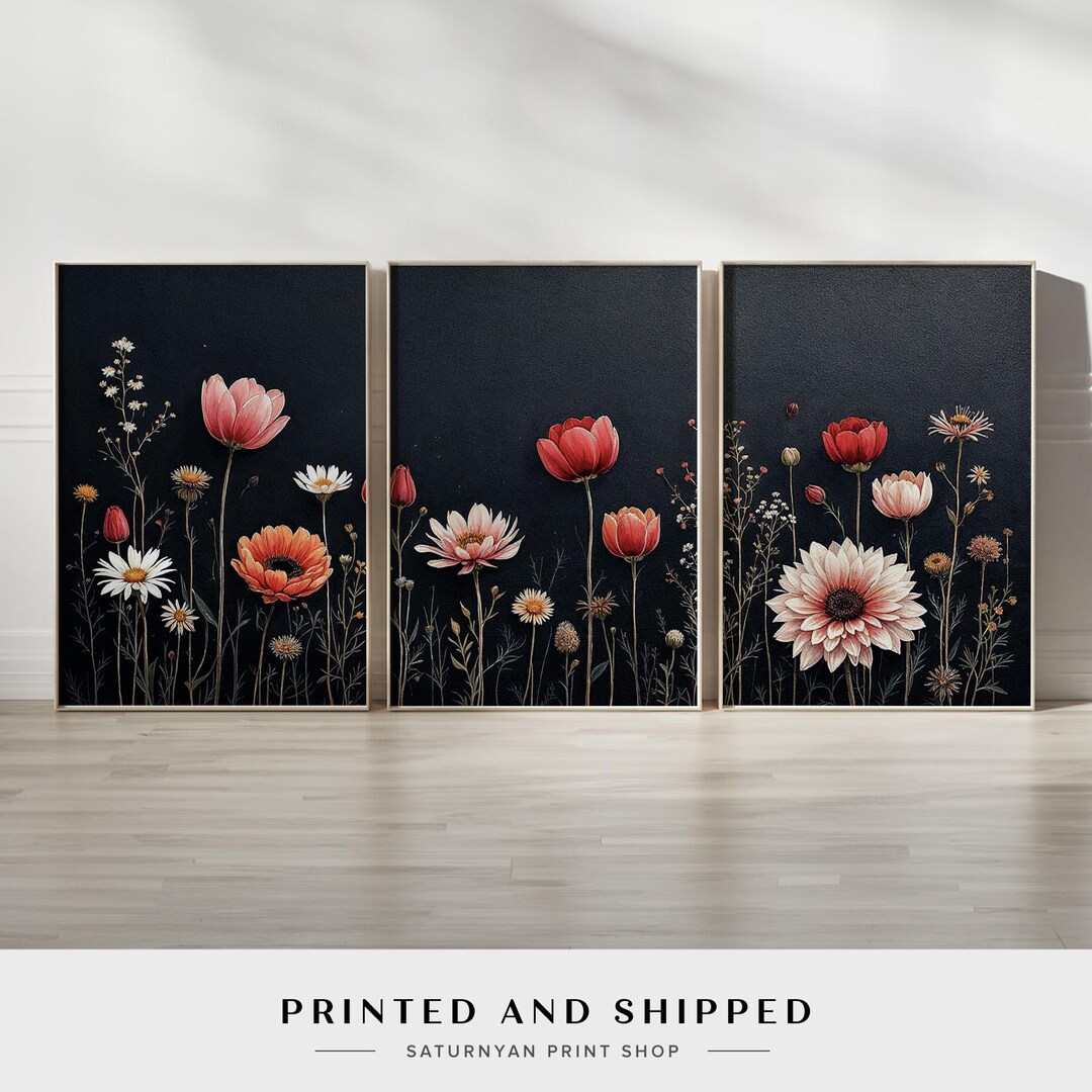 Elegant Botanical Wall Art Set of 3, Black Background With Red and ...