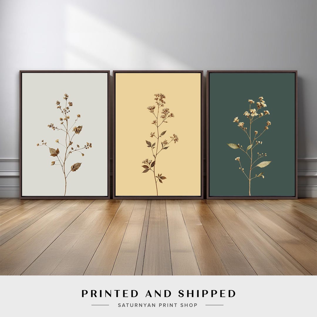 Minimalist Botanical Wall Art Set of 3 | Sage Green and Neutral Flower ...