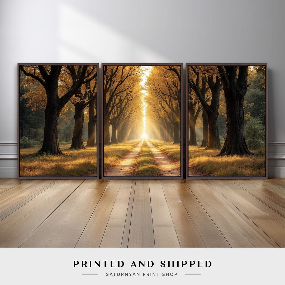 Autumn Forest Wall Art Set of 3 | Large Golden Tree Lined Path Canvas ...